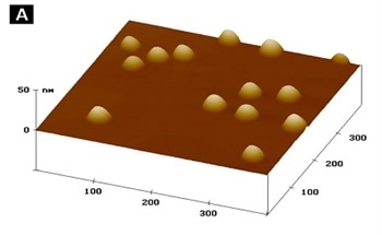 Self-Assembled Quantum Dots