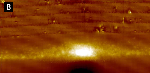 Cross-sectional scanning tunneling microscope image of an InGaAs quantum dot. The image is 80 X 40 nm2.