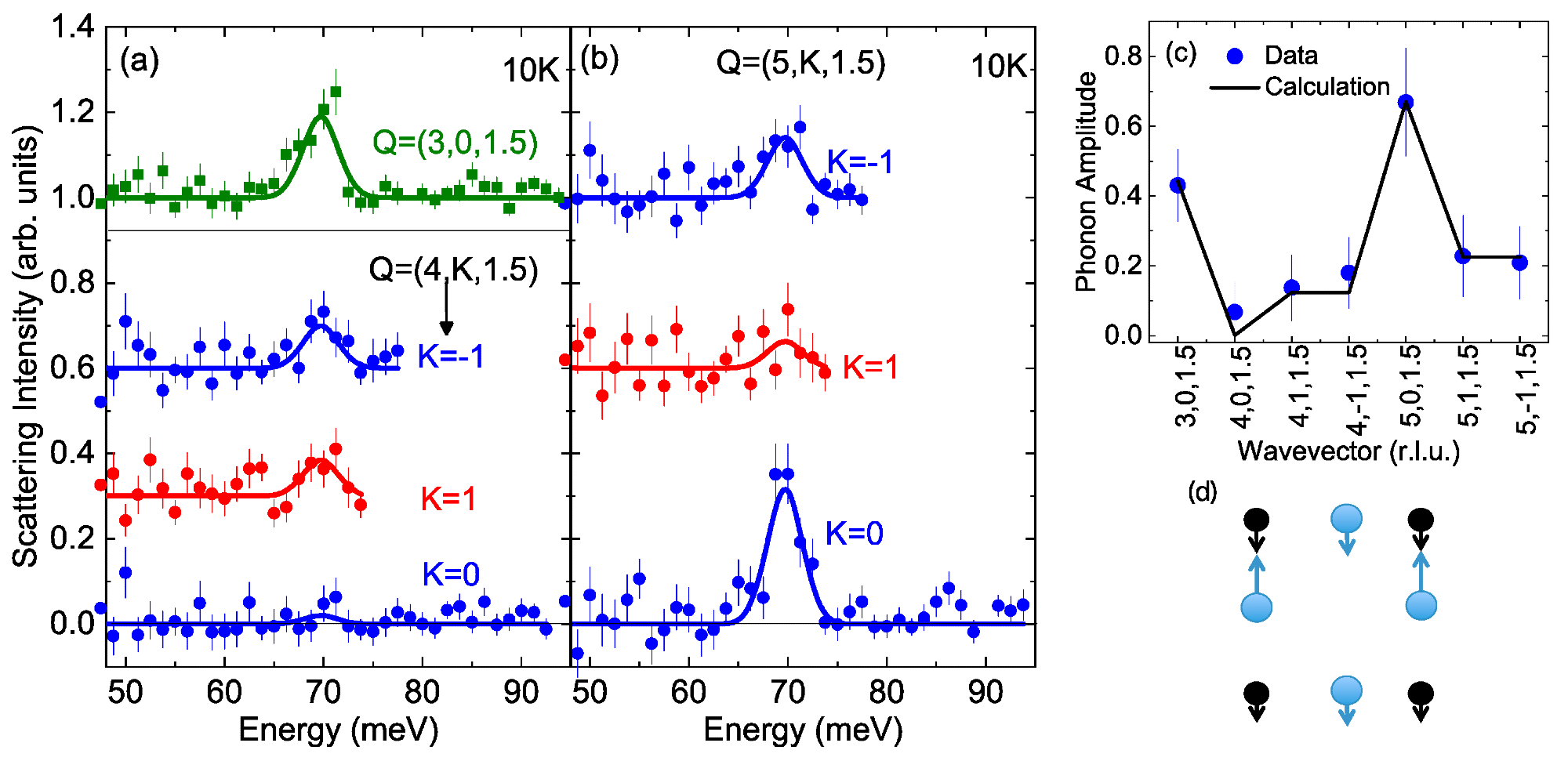 Zone-center bond-stretching phonon. (a, b) Solid line is the result of a multizone fit (see text) to the background-subtracted data (symbols). (c) Integrated intensity of the phonon at different wavevectors compared with the prediction based on the eigenvector shown in (d). (d) Eigenvector of the bond-stretching phonon. Small black circles represent Cu ions, large blue circles represent O. Arrows represent the phonon eigenvector drawn to scale. The eigenvector was extracted from phonon intensities in (a, b).