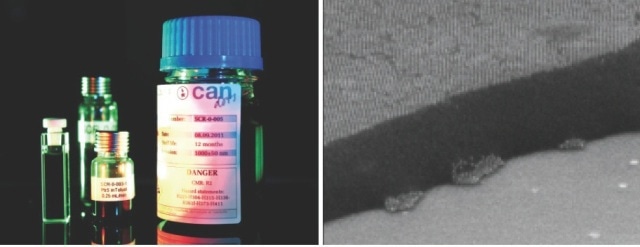 CANdots Series C nanoparticles