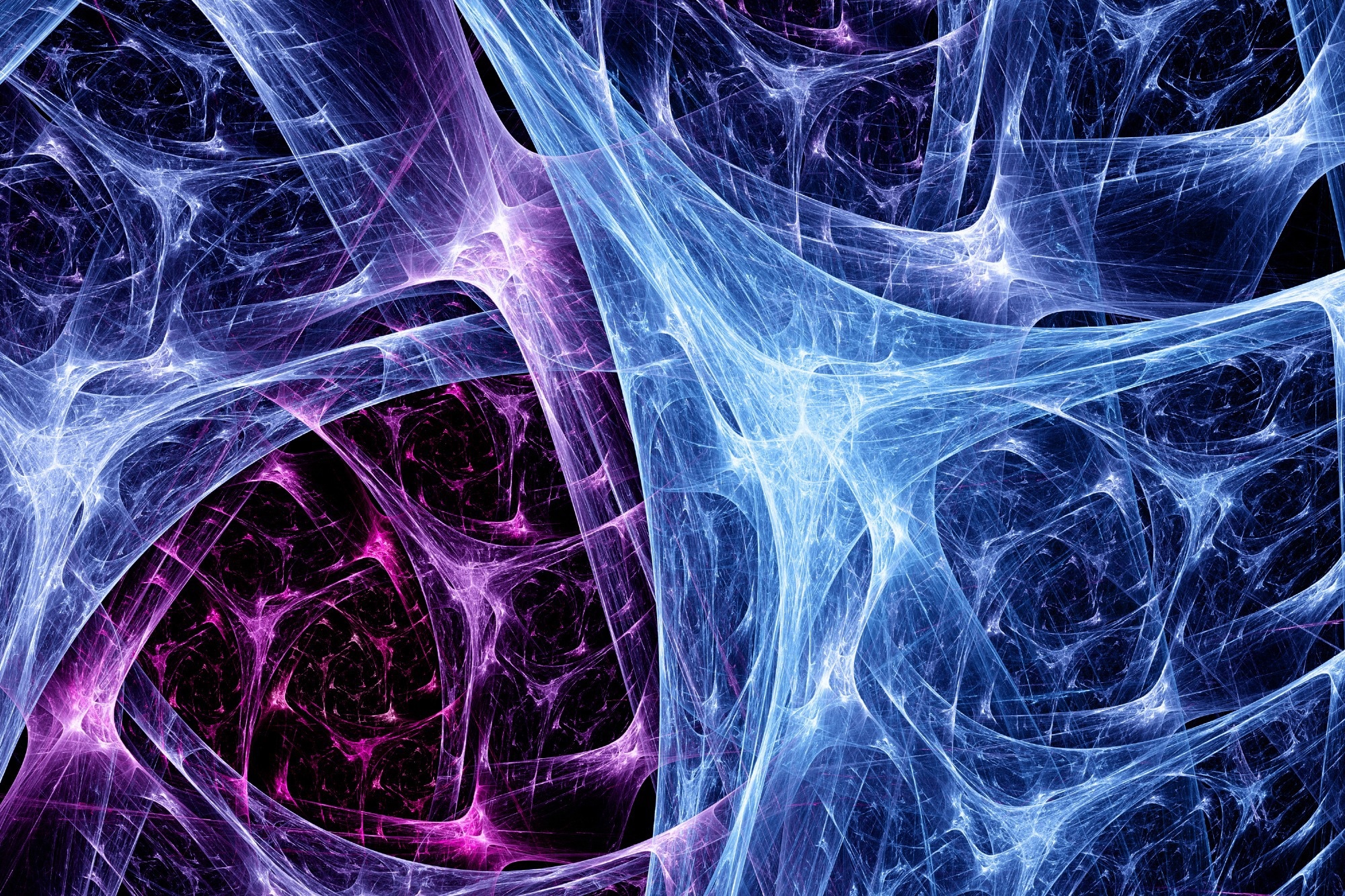 What is Quantum Biology?