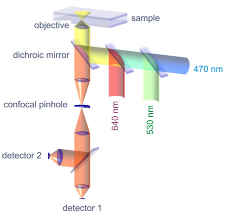 Schematic of a single-molecule fluorescence spectrometer: Three excitation lasers with different wavelengths are combined and that light is reflected by a dichroic mirror (reflective for laser excitation, transparent for fluorescence emission) into the objective, which focuses it into a tiny spot. Excited fluorescence light is collected by the same objective, focused through a confocal pinhole for background suppression, and finally detected by single-photon sensitive detectors.
