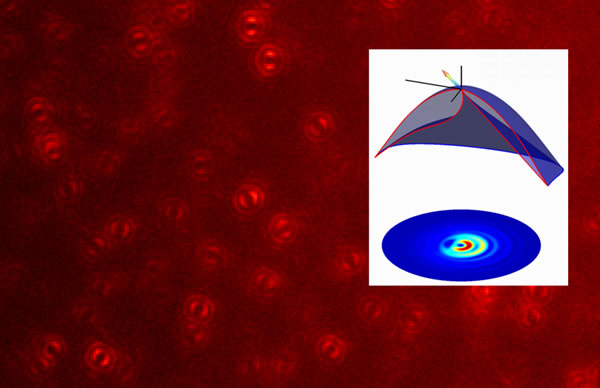 Angular distribution of emission of a single molecule (inset) together with observed defocused images of single molecules: Each observed “double-banana” shaped pattern stems from a single molecule and contains information about its three-dimensional orientation in space.