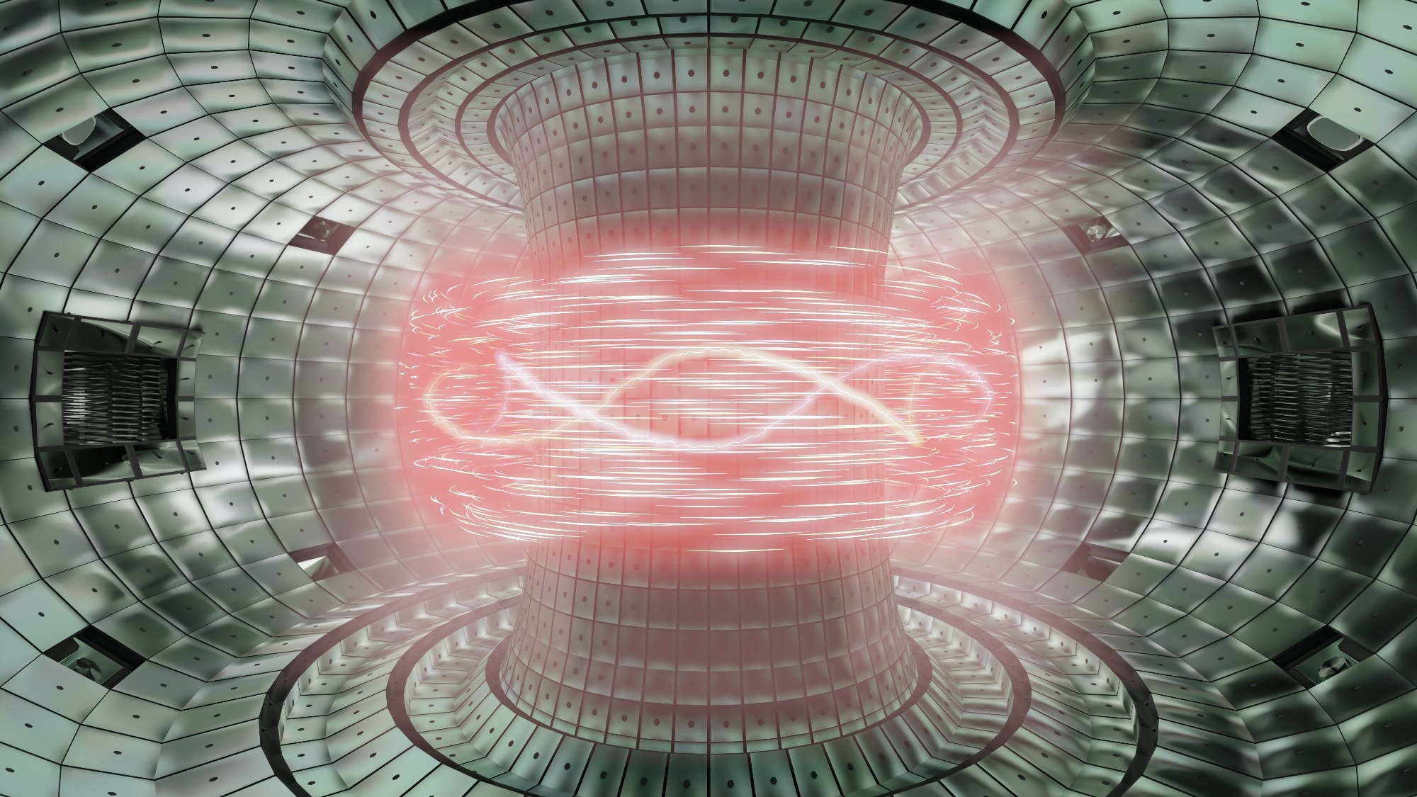 plasma in a tokamak reactor