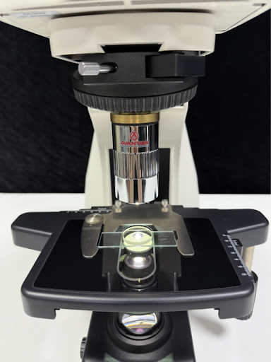 A long working distance, large numerical aperture microscope objective mounted on the microscope rack