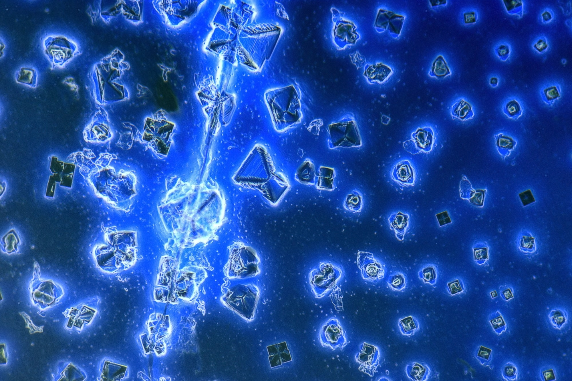 A microscopic close up of microcrystals