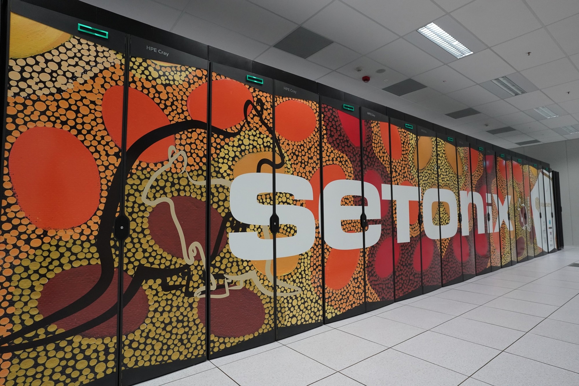 Apicture of Setonix