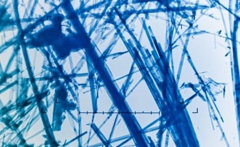 An Introduction to the Quantum Mechanics of Nanoparticles