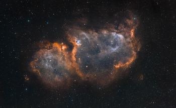 Quantifying Information in Visible Matter