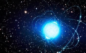 Understanding the Magnetism of White Dwarfs