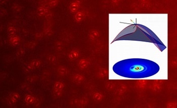 Fluorescence Spectroscopy and Microscopy: Professor Jörg Enderlein
