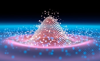 Why Observation Collapses Quantum States