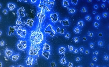 An Introduction to Quantum Crystallography