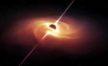 Exploring Black Hole Stars