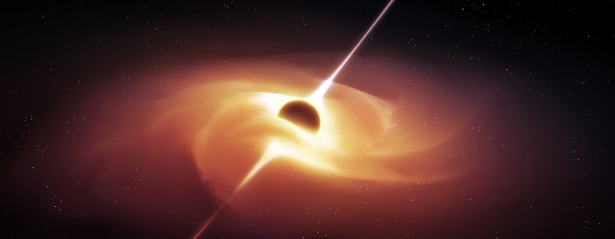 Exploring Black Hole Stars