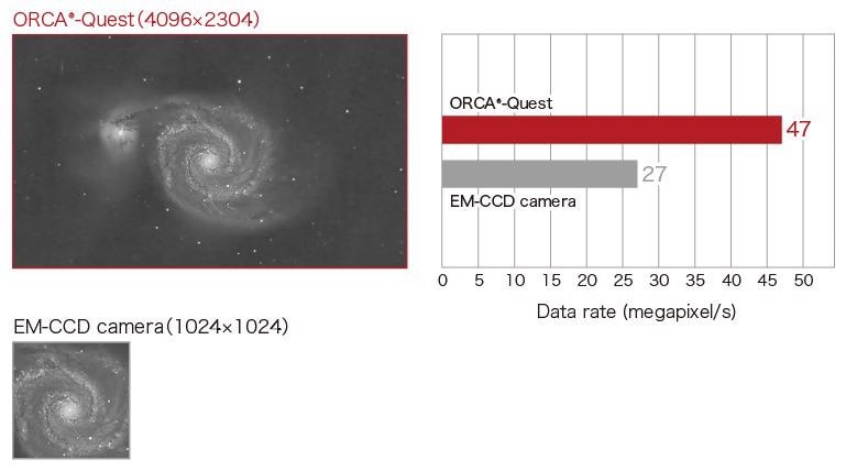 ORCA-Quest qCMOS Camera by Hamamatsu