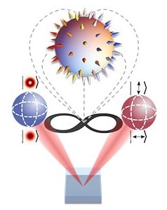 Unraveling the Secrets of Shared Quantum Entanglement