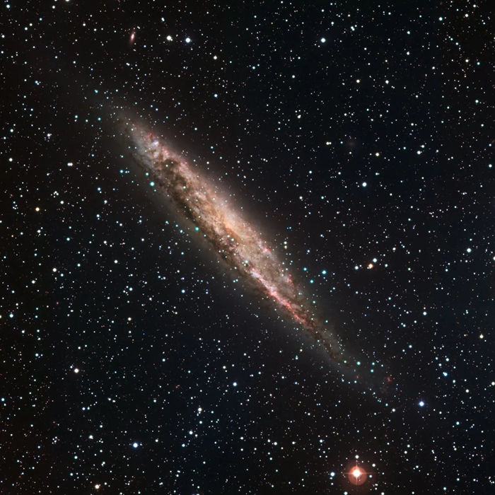 Novel Galactic ‘Fossil’: Revealing the Dynamics of Galaxy Evolution