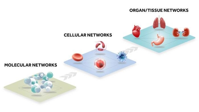 How Quantum Generative Adversarial Networks are Beneficial for Generative Chemistry