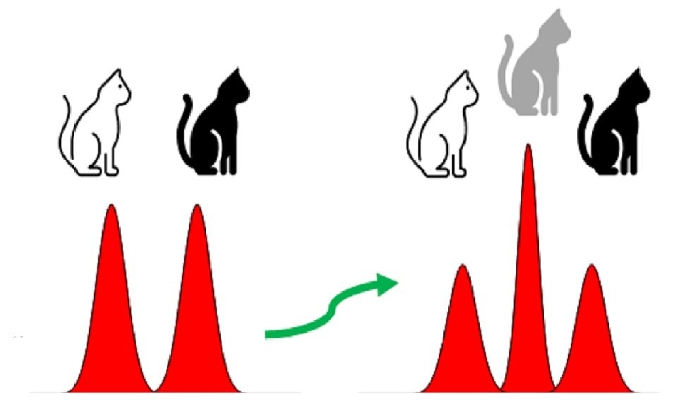 Top Logical States for Fault-Tolerant Quantum Computing