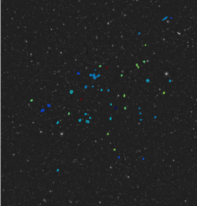 MeerKAT Discovers 49 New Gas-Rich Galaxies