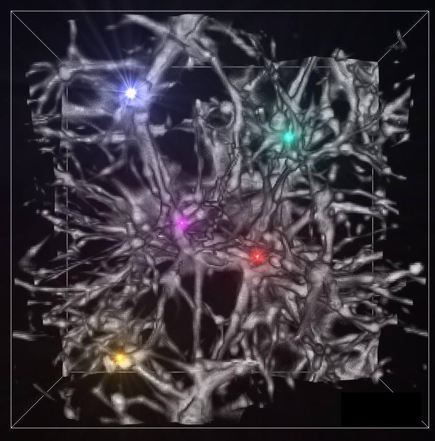 Supercomputer Sheds Light on First Star Formation