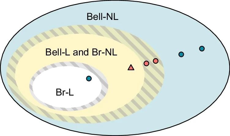 Exploring Nonlocality in Quantum Networks