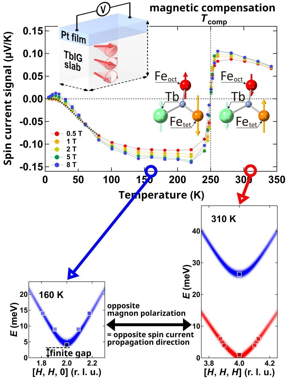 Cracking the Code on Spin Currents: A Novel Development in Spintronics