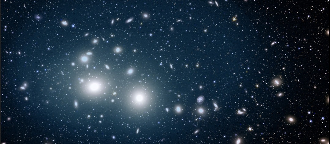 Euclid Reveals a Universe of Orphan Stars