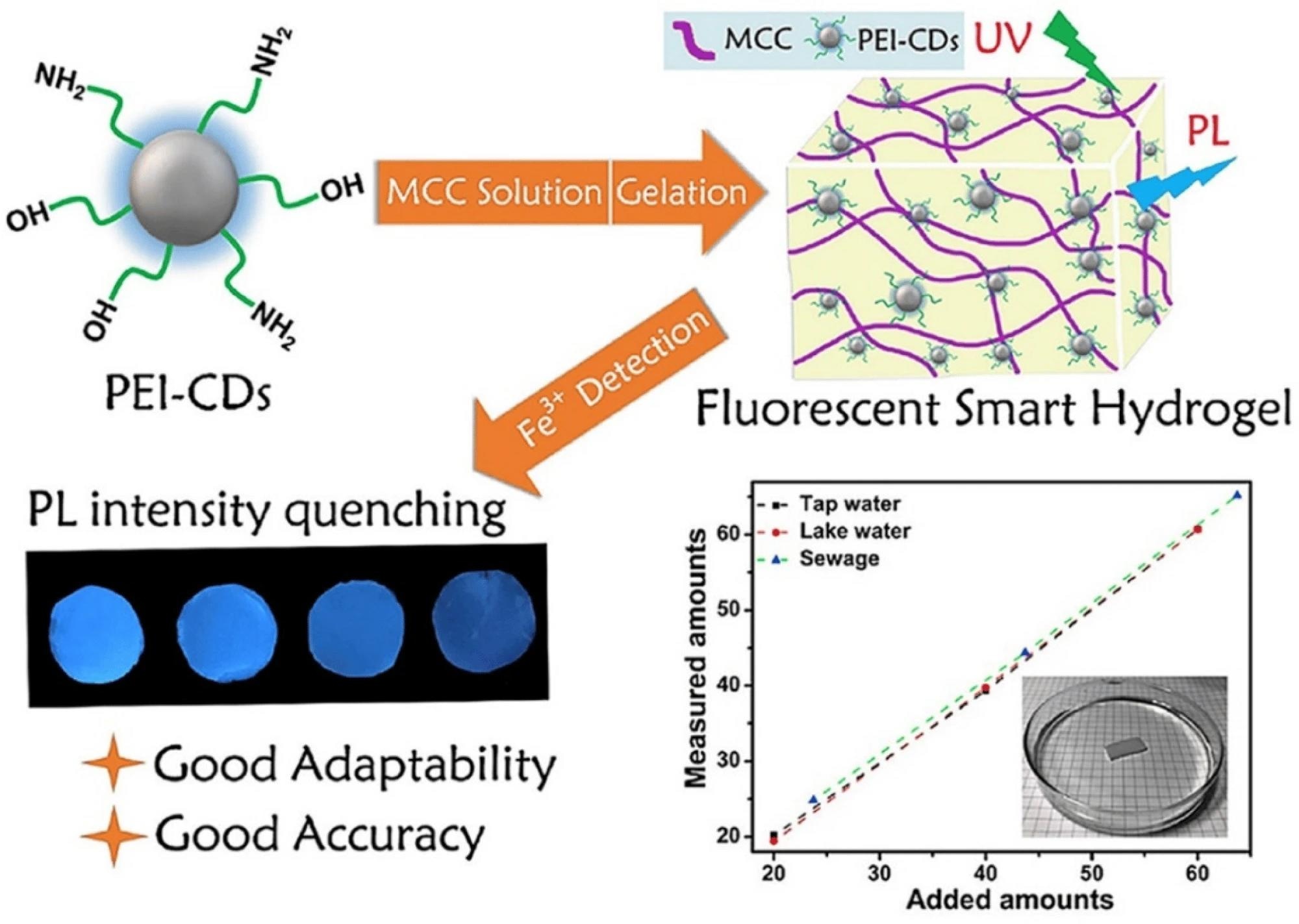 Quantum Dot-Enhanced Hydrogels for Multifunctional Applications
