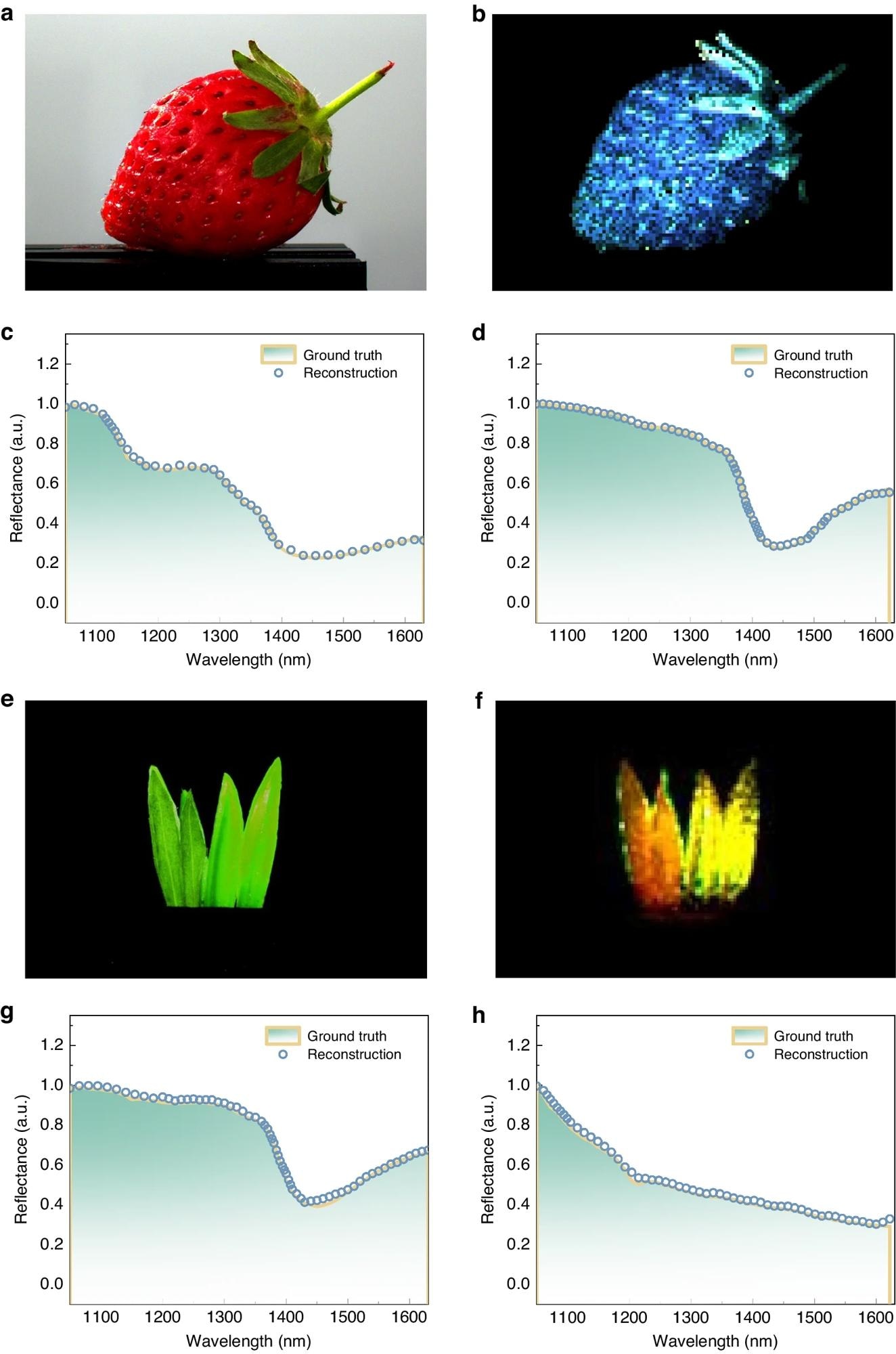 Quantum Dots Revolutionize Affordable NIR Imaging