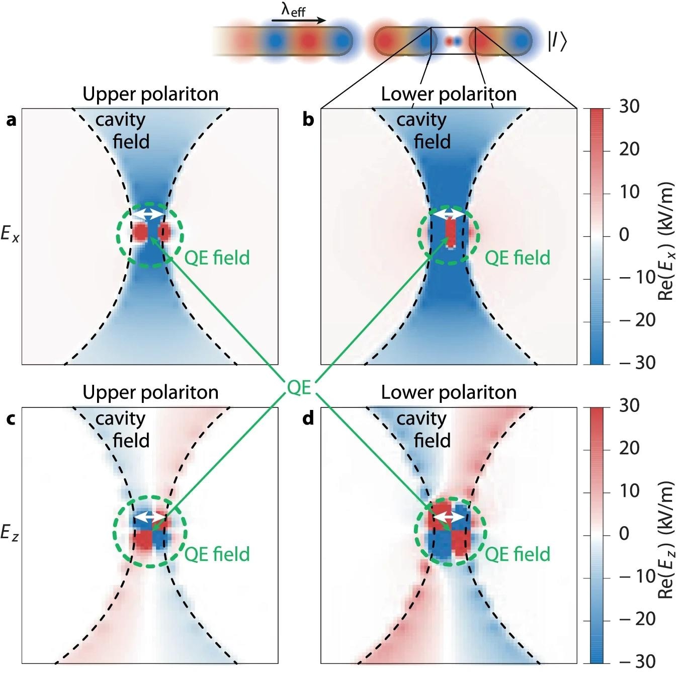 Quantum State Stability via Nanoplasmonic CPA