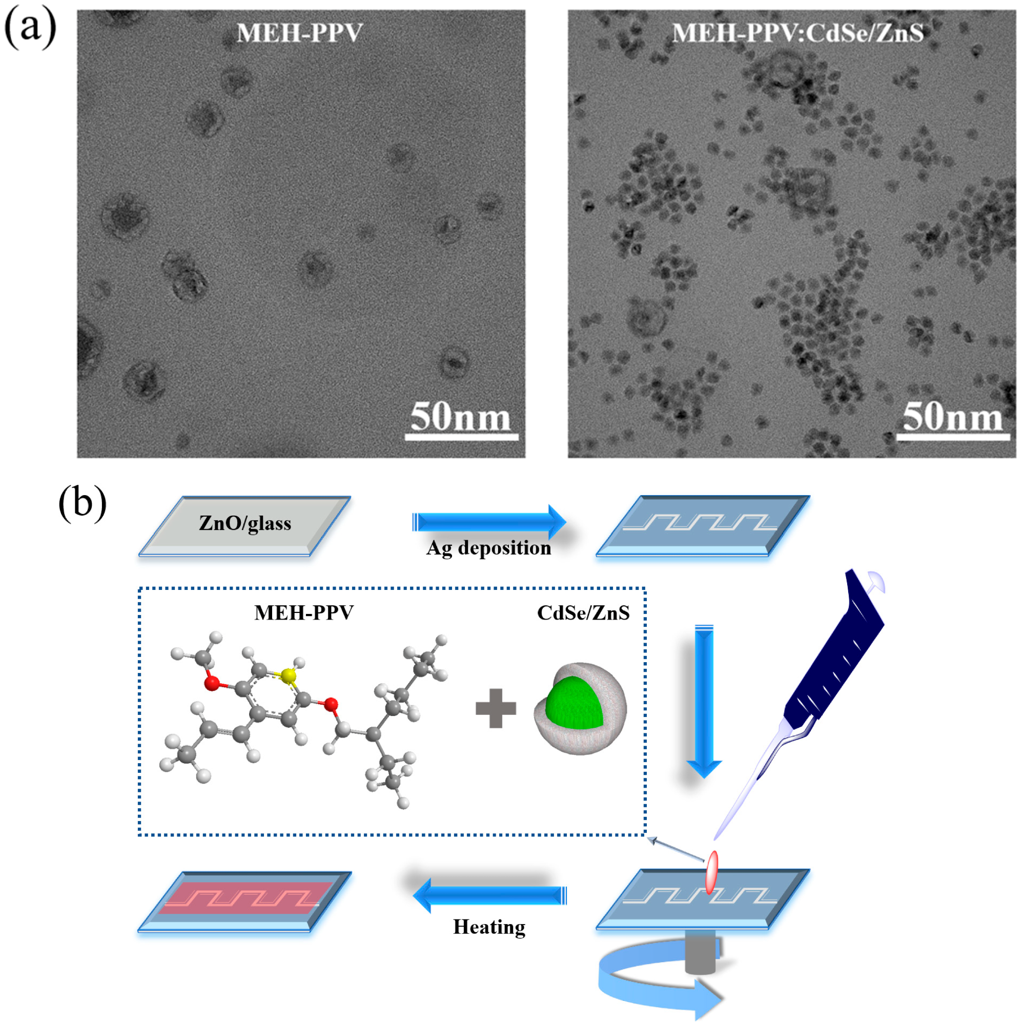 Quantum Dots Expand Photodetector Responsivity