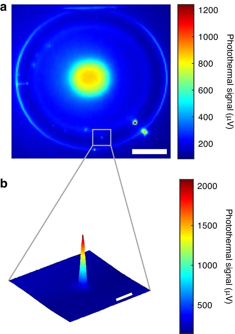 Microtoroid Resonators Enhance Quantum Dot Detection