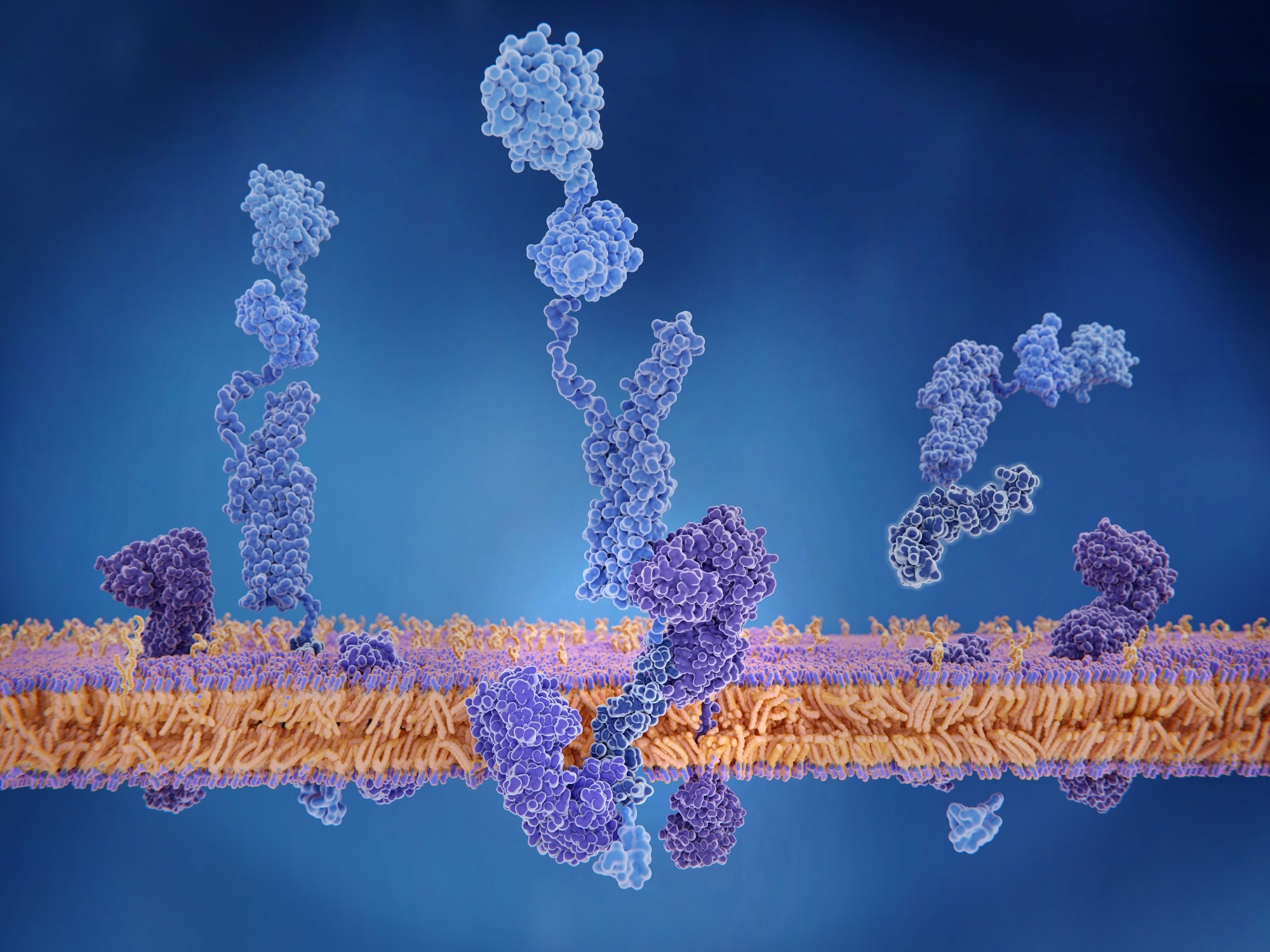 Quantum Interactions Boost Photoprotection in Proteins
