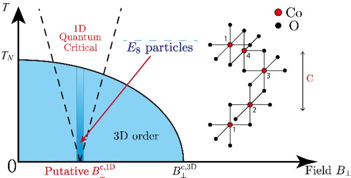 Experimental Realization of Exotic Excitations in Low-Dimensional Quantum Magnets