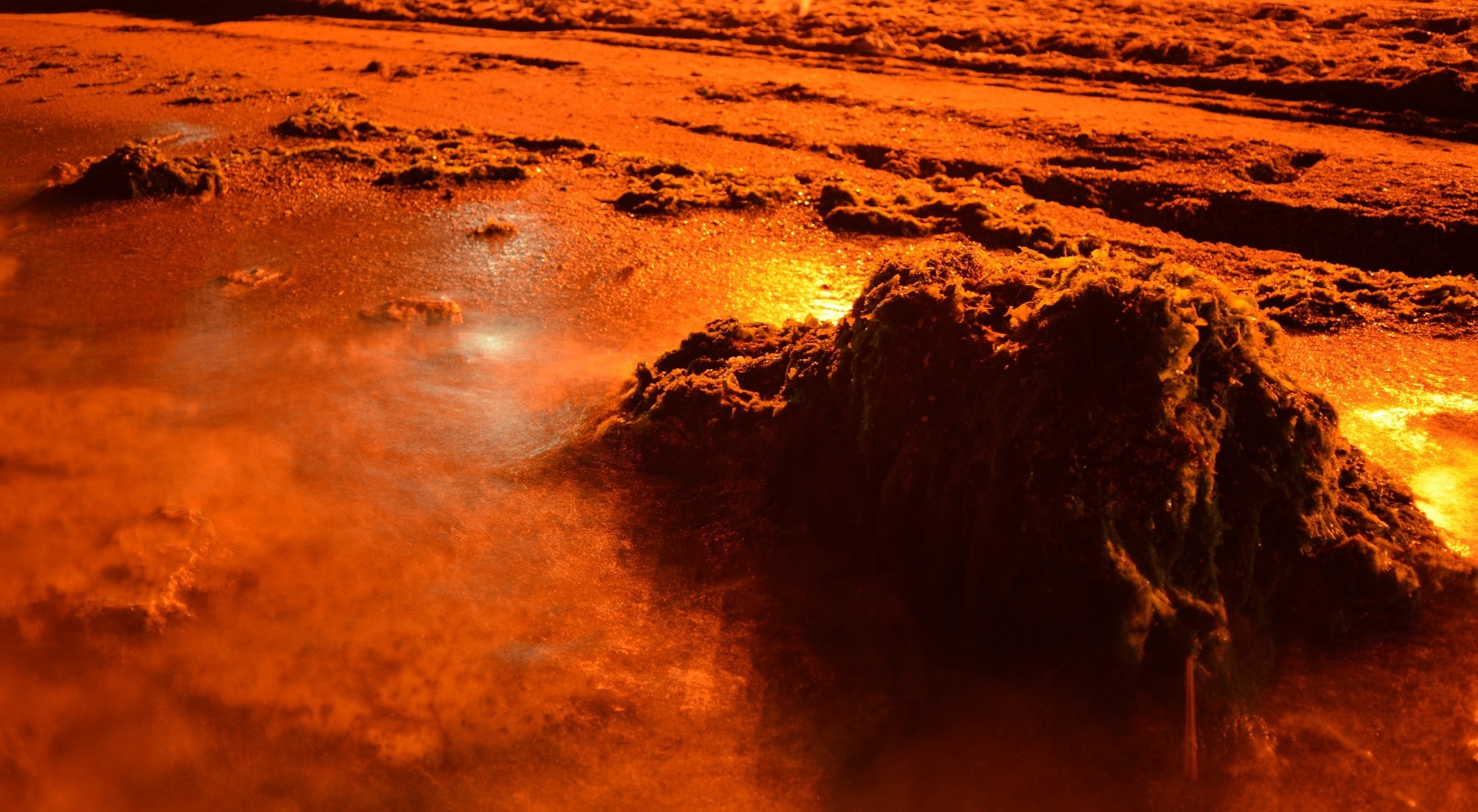 Dynamo Reversals Weaken Martian Magnetic Fields
