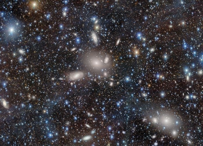Unveiling Galactic Diversity with the Dark Energy Camera