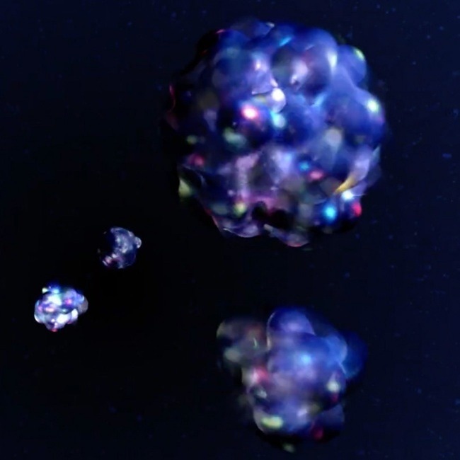 This frame from “Visualizing the Nucleus” shows animations of four different nuclei, with their protons and neutrons, quarks and gluons visible.