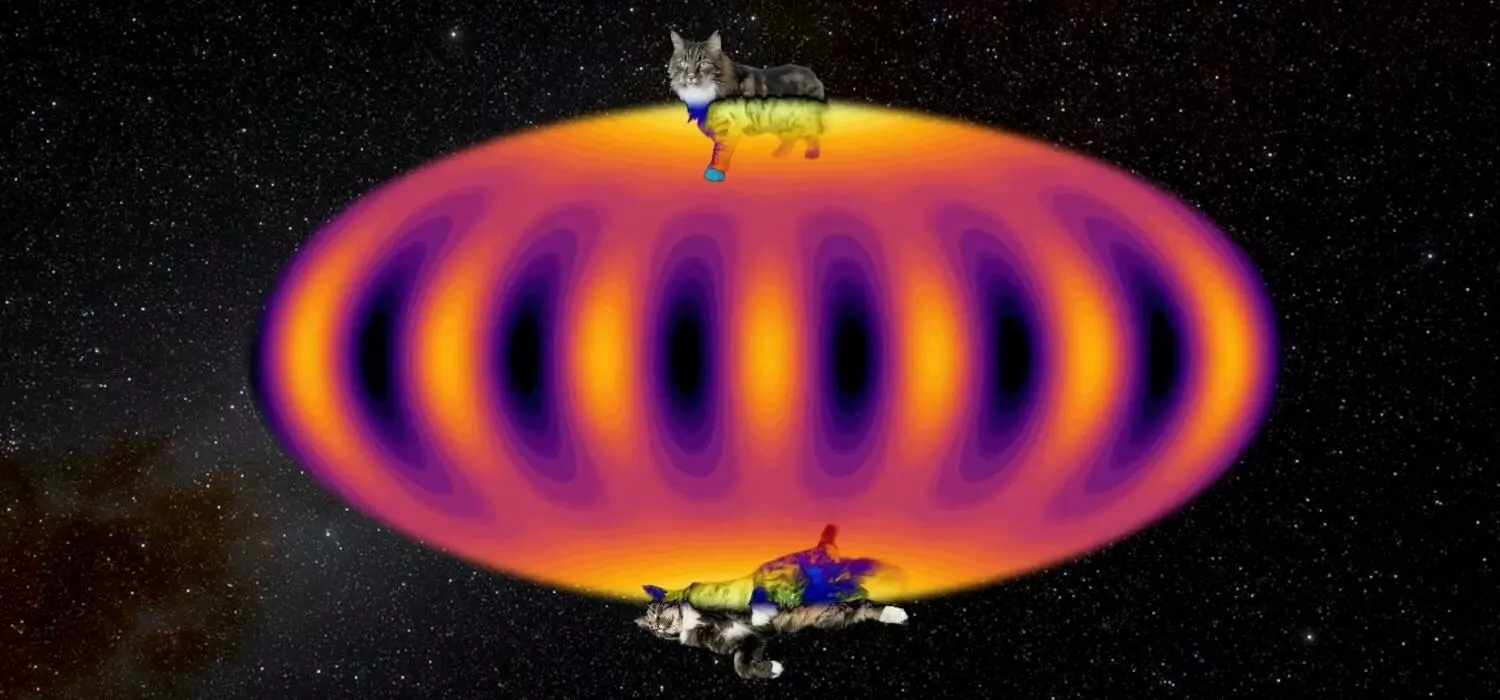 Visual depiction of the atomic ‘Schrödinger cat’ state.