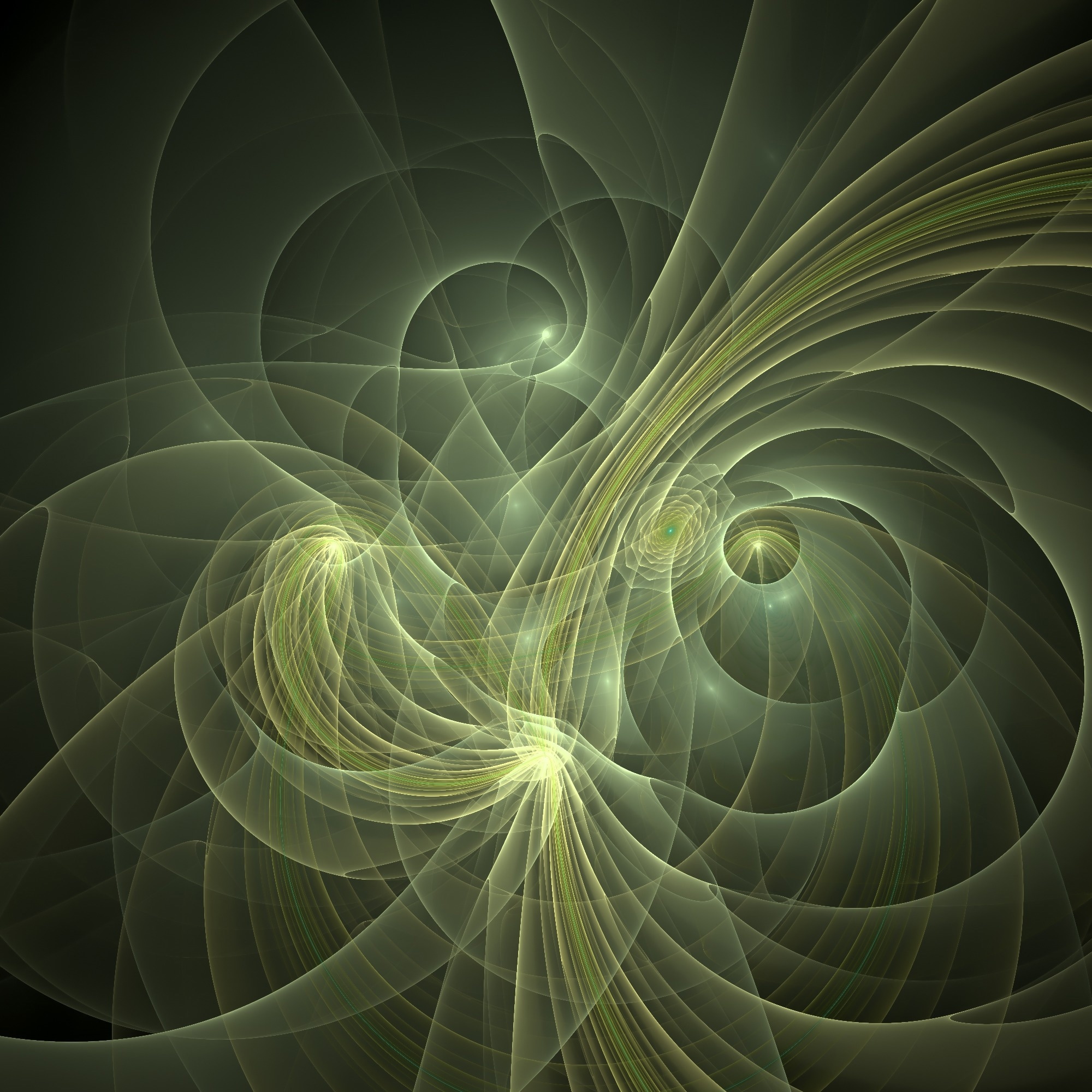 Unraveling the Carrier Origin in an Exotic Quantum Insulator