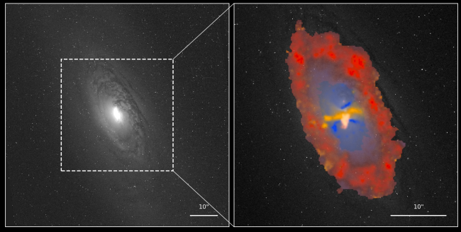 Active Supermassive Black Holes Actually Trigger Star Formation in Nearby Galaxies