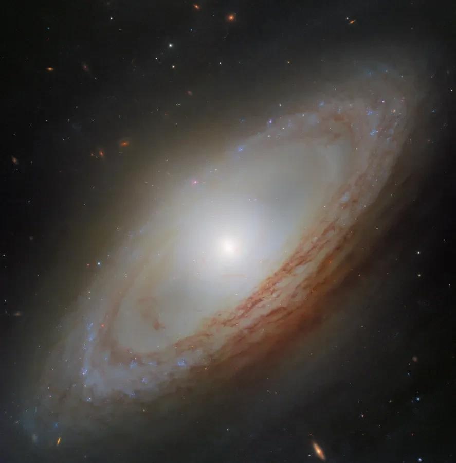Hubble Reveals the Turbulent Reality Within the Peaceful Virgo Cluster Galaxy