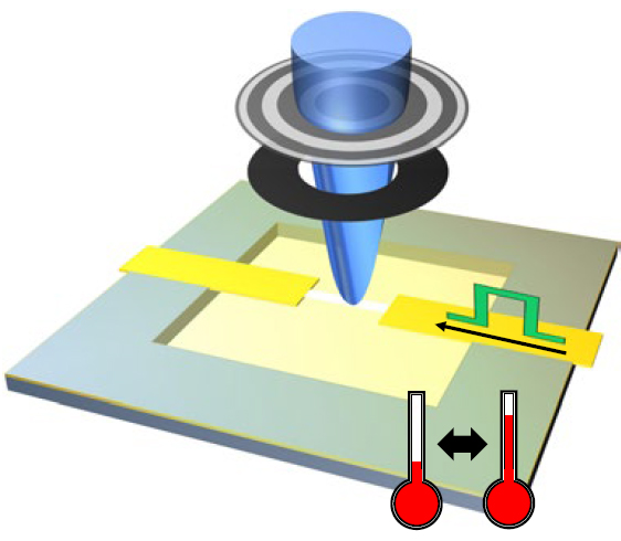 Study Throws Light on Effects of Temperature on Dynamics of Skyrmions