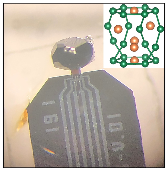 New Metallic Specimen Could Support Electron-Phonon Liquid Phase