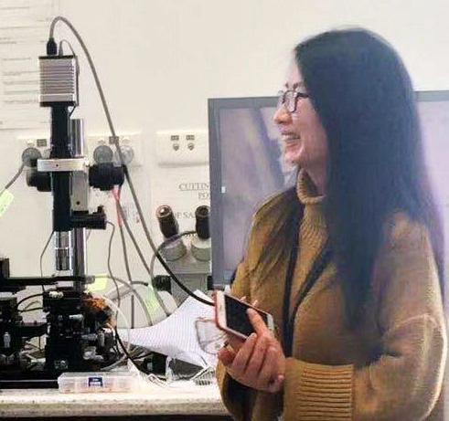 Topological Superconductors Serve as a Potential Technology for Majorana Particle.