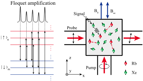 Scientists Analyze Quantum Amplification in Floquet Systems.