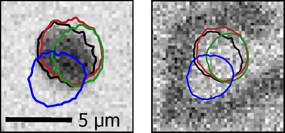 Harnessing the Power of Skyrmions to Create Data Processing or Storage Equipment.