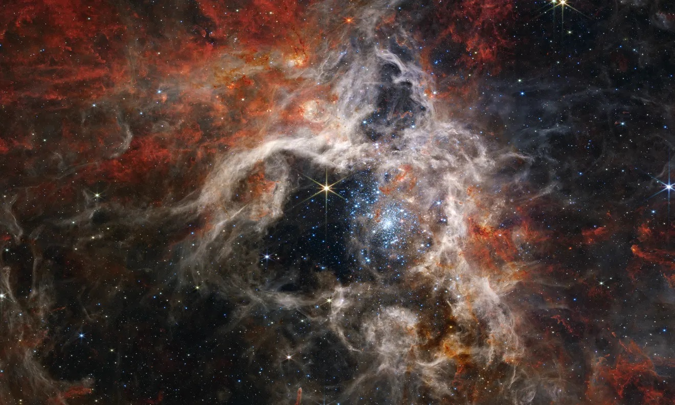 The Biography of Stars is Shaped by Their Early Stage