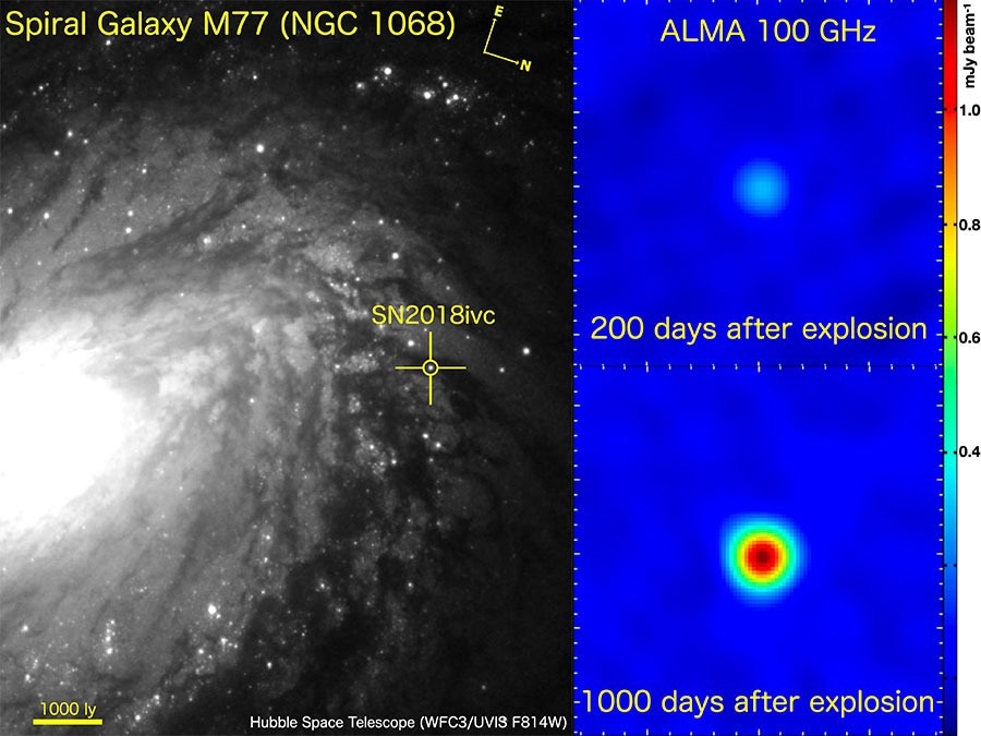 Supernova Gifts Scientists With Valuable Information